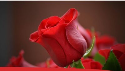 Εθελοντική αιμοδοσία την Κυριακή στους Αγίους Δέκα