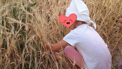 Μέσα από τον κύκλο του ψωμιού οι μαθητές ενός σχολείου στο Ρέθυμνο γίνονται ένα με τη Φύση (Φωτο)