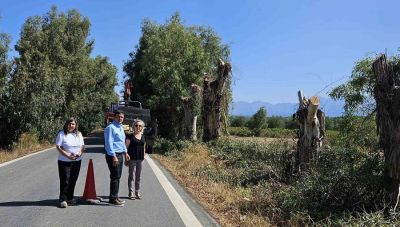 Αυτοψία του Αντιπεριφερειάρχη Ηρακλείου στο κλάδεμα δέντρων του επαρχιακού οδικού δικτύου