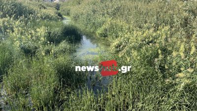 Καθαρίζεται ο ποταμός Γιόφυρος-Σε εξέλιξη εργολαβίες καθαρισμού και σε άλλα ποτάμια και ρέματα (φωτο)