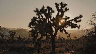 Κλιματική αλλαγή: Η αύξηση της θερμοκρασίας του πλανήτη κάνει πιο πιθανή την εμφάνιση καταιγίδων όπως η Μπόρις