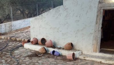 Κοπάδι μπήκε στην αυλή του νεκροταφειακού ναού στο Λαγό Πεδιάδος, κατέστρεψε τα πάντα και αφόδευσε πάνω στα μνήματα (φωτο & βίντεο)