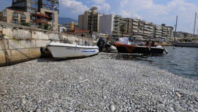 Στο 100% καθάρισε ο Παγασητικός από τα νεκρά ψάρια – Σε ισχύ η απαγόρευση κολύμβησης