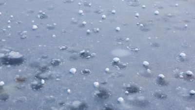 Κοζάνη: Σημαντικές ζημιές στους ελαιώνες Ιμέρων από την χαλαζόπτωση του Σαββάτου