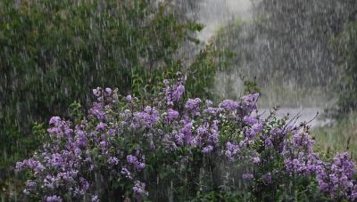 Μίνι φθινόπωρο λίγο πριν το καλοκαίρι με καταιγίδες, χαλάζι και μποφόρ-Βροχές στην Κρήτη