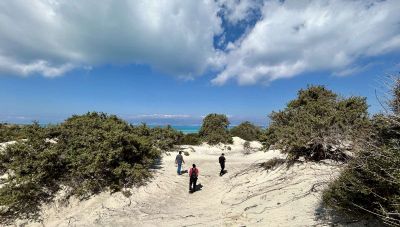 Νήσος Χρυσή: 