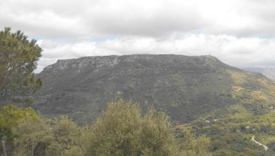 Εξόρμηση στο Αμάρι της φύσης και του πολιτισμού: Βολιώνες, Παντάνασσα, Πατσός