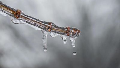 Σε ποιά περιοχή της Κρήτης ο υδράργυρος έπεσε κάτω από το μηδέν τη Μ. Δευτέρα;
