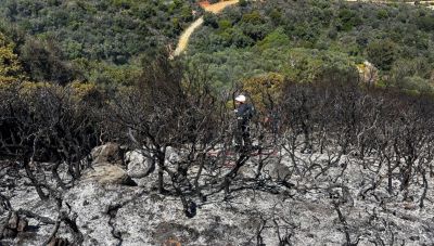 Υπό πλήρη έλεγχο η φωτιά στα Βελανίδια – Άμεση κινητοποίηση της Πυροσβεστικής