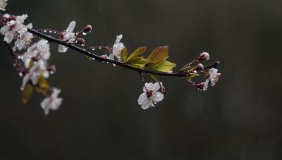 Με τοπικές βροχές και καταιγίδες συνεχίζεται το σκηνικό του καιρού μέχρι το Σαββατοκύριακο