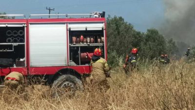 Συλλήψεις και πρόστιμα για πρόκληση πυρκαγιών σε Κρήτη, Τανάγρα, Ωρωπό, Ηλεία, Κέρκυρα Θεσπρωτία και Κω
