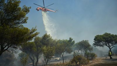 Δασική πυρκαγιά στη Ζάκυνθο – Κινητοποιήθηκαν επίγειες και εναέριες δυνάμεις