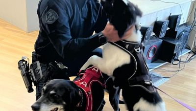Η Πρώτη Αστυνομία Ζώων στην Κρήτη – Μια νέα εποχή για την προστασία των ζώων