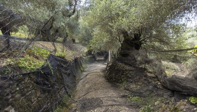 Κυκλική πεζοπορική διαδρομή των βυζαντινών εκκλησακιών της Καντάνου