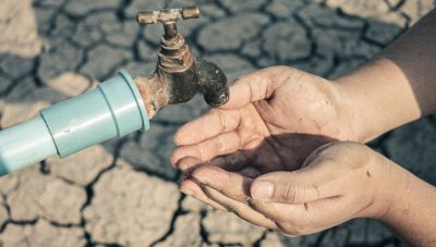 Στ. Παπασταύρου: Κάλεσμα σε 
