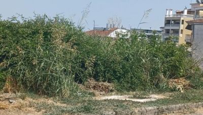 “Διατηρούμε το οικόπεδο καθαρό για όλη την αντιπυρική περίοδο”