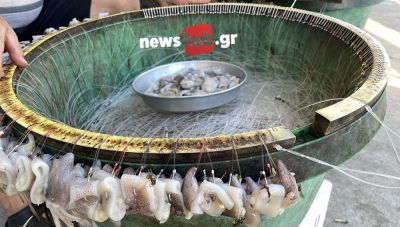 Ηράκλειο: Τα ψάρια εισβολείς αφανίζουν σαρδέλα, γαύρο, μπαρμπούνι-Εισαγωγές με συντηρητικά και ψαράδες που ζητούν λύσεις
