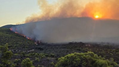 Μάχη με τις φλόγες σε Ζάκυνθο, Κεφαλονιά, Βόνιτσα Αιτωλοακαρνανίας και Φωκίδα, ήχησε 112