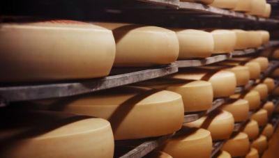 Η Κίνα παρατείνει την έρευνά της για τα γαλακτοκομικά προϊόντα της Ε.Ε.