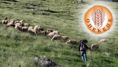 Ελληνικό FBI στην Κρήτη: Νέες δεσμεύσεις περιουσιών για το σκάνδαλο ΟΠΕΚΕΠΕ - Στο στόχαστρο 3 υποθέσεις απάτης