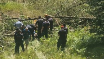 Ιωάννινα: Κορμός οξιάς καταπλάκωσε ξυλοκόπο