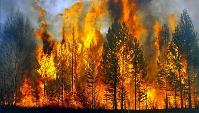 Οι πυρκαγιές έκαψαν περισσότερα από 10 εκατ. στρέμματα στην ΕE από τις αρχές του 2025 – Το 40% είναι στην Ισπανία