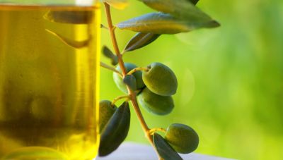 Ελαιόλαδο: Ιστορική πτώση στις τιμές του προϊόντος – Τι άλλαξε τα δεδομένα στο χρηματιστήριο της... αγοράς