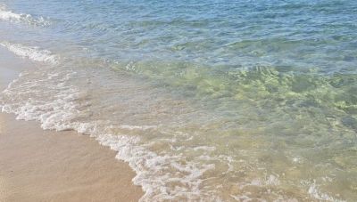 Πήλιο: Άγριος καβγάς σε παραλία όταν δύο άνδρες έκαναν γυμνισμό – Τρεις συλλήψεις