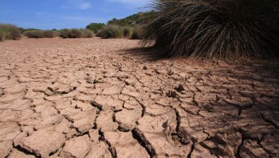 Ξηρασία-ρεκόρ στην Κρήτη :Έντονη επιδείνωση τον Αύγουστο - Δείτε τους δείκτες (φωτο)