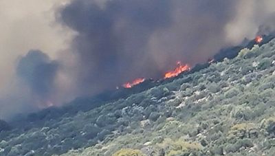 Φωτιά τώρα στην Κερατέα-Μήνυμα 112 για εκκένωση των περιοχών Δροσιά και Χάρβαλο