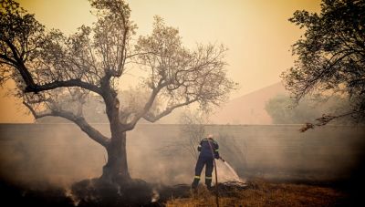 Φωτιά τώρα – Ανατολική Αττική: Βελτιωμένη η εικόνα στα μέτωπα – Συνεχείς ρίψεις από τα εναέρια μέσα