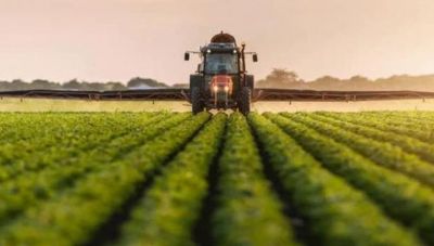 Παράταση για την πληρωμή αγροτικών εισφορών στον ΕΛΓΑ – Τι προβλέπει τροπολογία