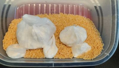 Ηράκλειο: Για κακούργημα διώκεται ο 30χρονος με τα 50 γρ. κοκαΐνης και το χασίς – Πότε απολογείται