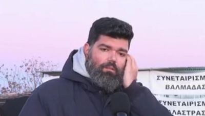 ΟΠΕΚΕΠΕ - Γ.Μπότας: Αναφορά σε «σκαλώματα» στην ΑΑΔΕ μετά τις αποκαλύψεις για χωράφια «φαντάσματα» και επιδοτήσεις 126.000€