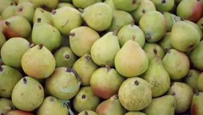 Ανακαλούνται αχλάδια Τουρκίας – Περιείχαν ποσότητα από εντομοκτόνο