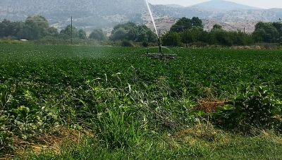 Νέα μελέτη επισημαίνει τις επιπτώσεις της κλιματικής αλλαγής στην παραγωγικότητα των εργαζομένων