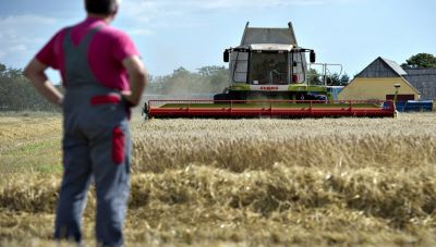 Κώστας Τσιάρας: Έως τέλος Φεβρουαρίου οι φάκελοι στην ΕΕ για ενεργοποίηση του Μέτρου 23 για τη μειωμένη παραγωγή