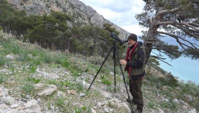 Νέος κύκλος ομιλιών «Κοινωνία και Ζώα» από το Δήμο Ηρακλείου - Απόψε η πρώτη ομιλία