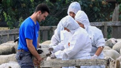 Ελένη Βατσινά: Άμεση ανάγκη προσλήψεων στις Κτηνιατρικές Υπηρεσίες της Περιφέρειας Κρήτης