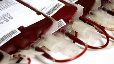 Εθελοντική αιμοδοσία στο Δημαρχείο Χανίων: Με αφορμή την Παγκόσμια Ημέρα κατά του Παιδικού Καρκίνου   