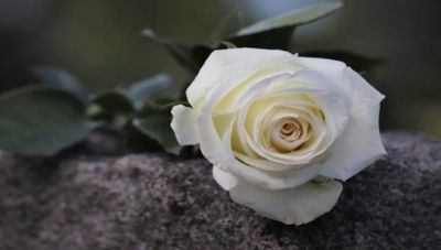 Η ΔΕ του ΤΕΕ-ΤΑΚ αποχαιρετά την 13χρονη Δήμητρα που έφυγε τόσο πρόωρα