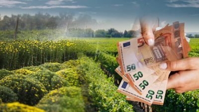 Αγροτικά κόκκινα δάνεια: Τεχνάσματα από funds λίγο πριν τη νέα ρύθμιση – Οι καταγγελίες