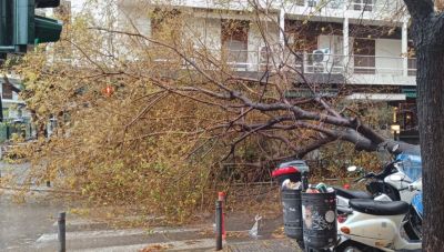 Χανιά - επιδείνωση του καιρού: Δεκάδες κλήσεις στην Πυροσβεστική για πτώσεις δέντρων