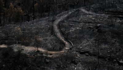 Greenpeace: “Καυτή” χρονιά: το 2024 ήταν το θερμότερο έτος που έχει καταγραφεί, το πρώτο που ξεπερνά τον 1,5°C