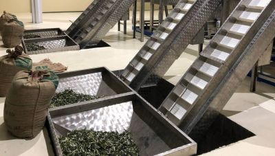 Ελπίδες για ανάκαμψη των τιμών παραγωγού ελαιολάδου, από τα 5 ευρώ που είναι σήμερα