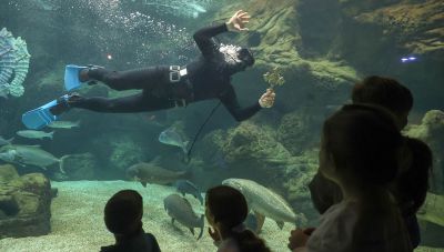 Με λαμπρότητα ο εορτασμός των Θεοφανίων στον Δήμο Χερσονήσου