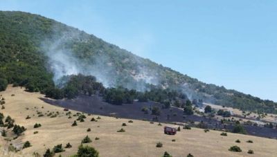 Κοζάνη: Σύλληψη 75χρονου για τη φωτιά στο Δρέπανο