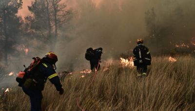 Πυροσβεστική: 41 αγροτοδασικές πυρκαγιές το τελευταίο 24ωρο σε όλη τη χώρα