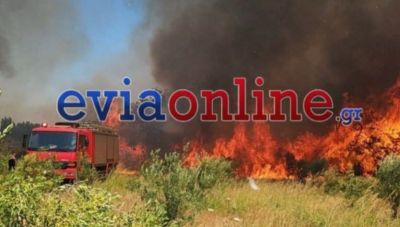 Φωτιά Εύβοια: Συνελήφθη άνδρας για τη μεγάλη φωτιά στο Αλιβέρι