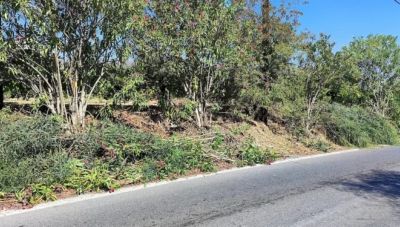 Παρουσιάζεται αύριο η μελέτη για την ανάπλαση του δρόμου Γάζι Καλέσα από την Περιφέρεια Κρήτης